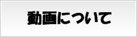 動画について